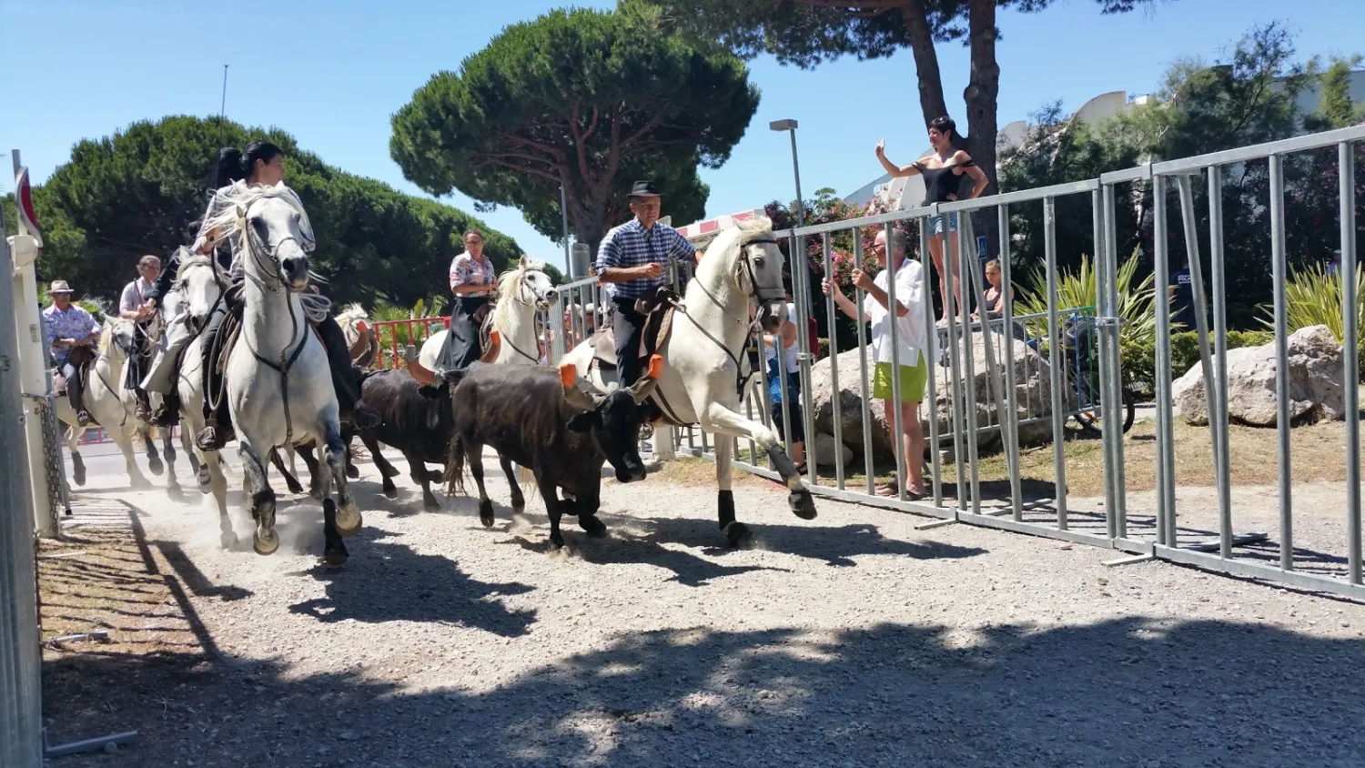 camping-lous-pibols-la-grande-motte-qyhfz