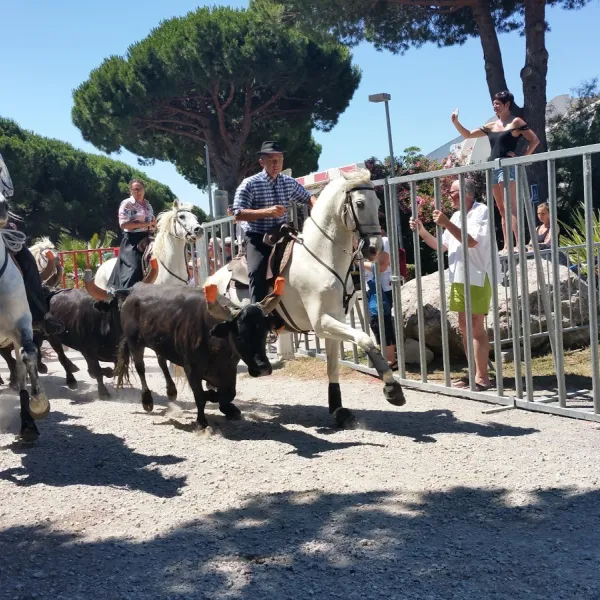 camping-lous-pibols-la-grande-motte-qyhfz