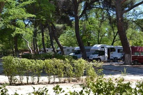 camping-osuna-madrid-aandq