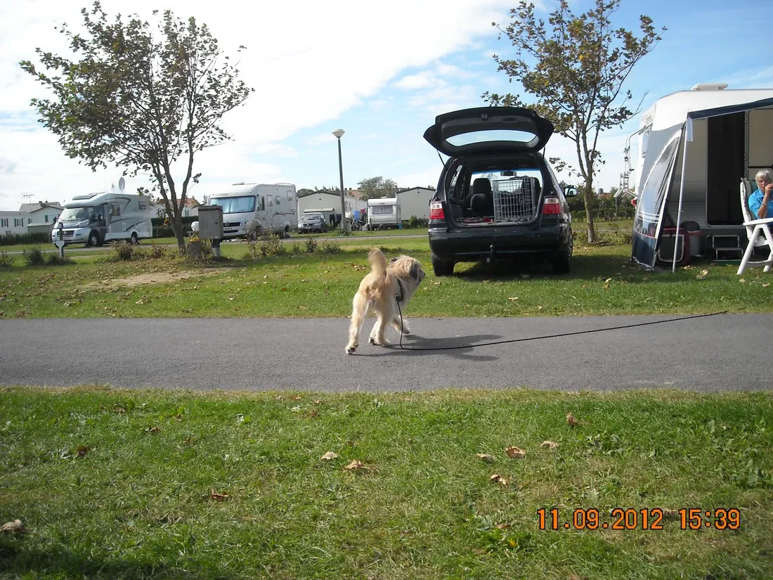 camping-poldervallei-westende-6ewji