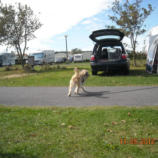 camping-poldervallei-westende-6ewji