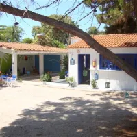 campsite-proti-marathopolismessinias-n4fa5