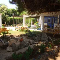 campsite-proti-marathopolismessinias-rigob