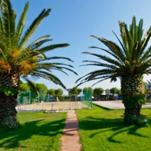 campsite-proti-marathopolismessinias-sszgi