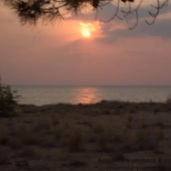 campsite-proti-marathopolismessinias-vbbd2