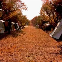 campsite-proti-marathopolismessinias-yzgdj