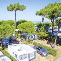 camping-bois-soleil-st-georges-du-didonne-sjwus