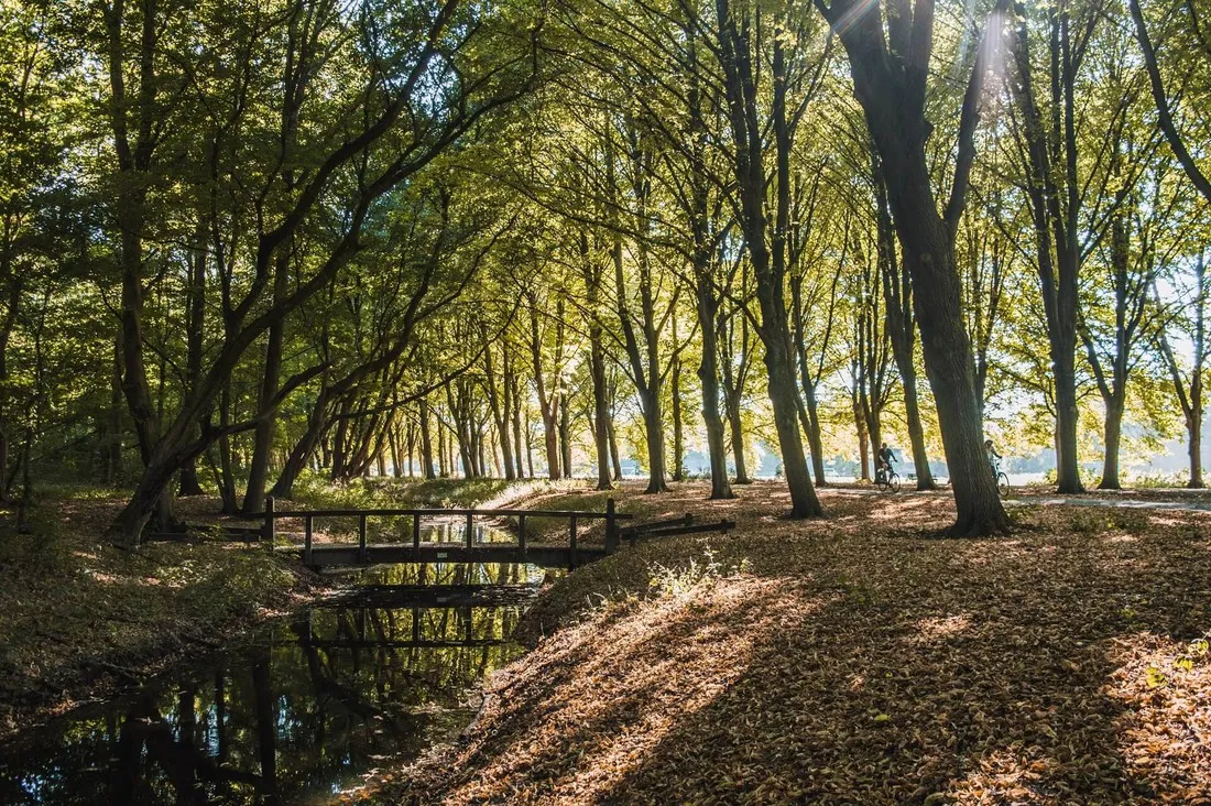 camping-het-amsterdamse-bos-amstelveen-oxmdk
