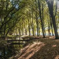 camping-het-amsterdamse-bos-amstelveen-oxmdk