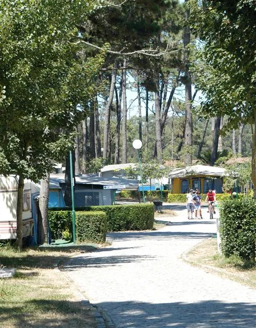parque-de-campismo-orbitur-angeiras-angeiras-8bxfr