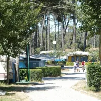 parque-de-campismo-orbitur-angeiras-angeiras-8bxfr