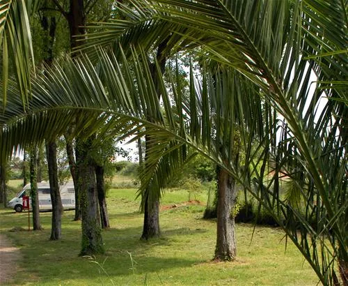 parque-de-campismo-orbitur-angeiras-angeiras-sap1g