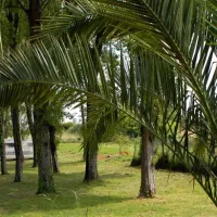 parque-de-campismo-orbitur-angeiras-angeiras-sap1g
