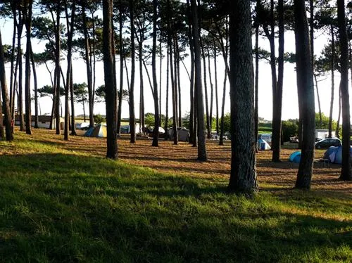 parque-de-campismo-orbitur-angeiras-angeiras-zkvd2
