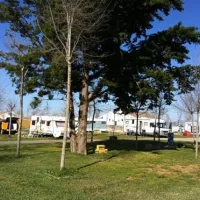 camping-roche-conil-de-la-frontera-y3hgc