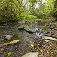 greenways-valley-holiday-park-torrington-efdvx