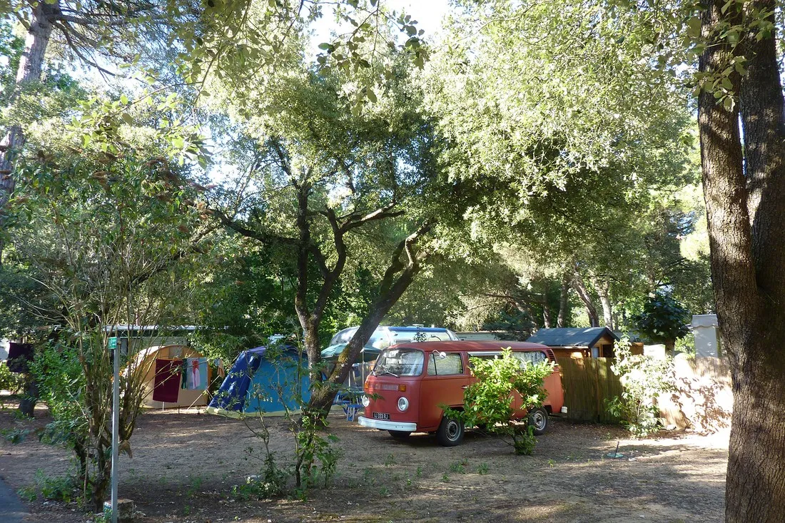 camping-les-chardons-bleus-sainte-marie-de-r-ksw38