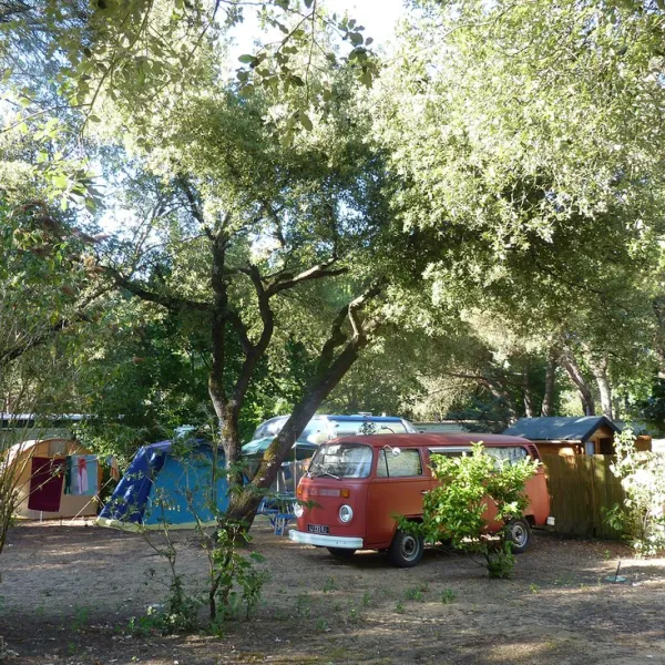 camping-les-chardons-bleus-sainte-marie-de-r-ksw38