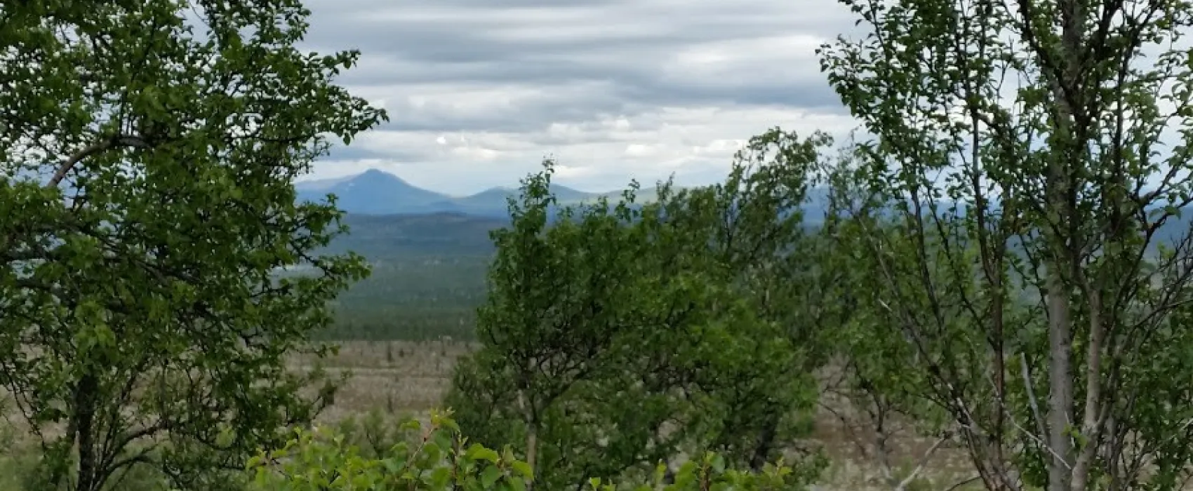 Sømådalen Camping
