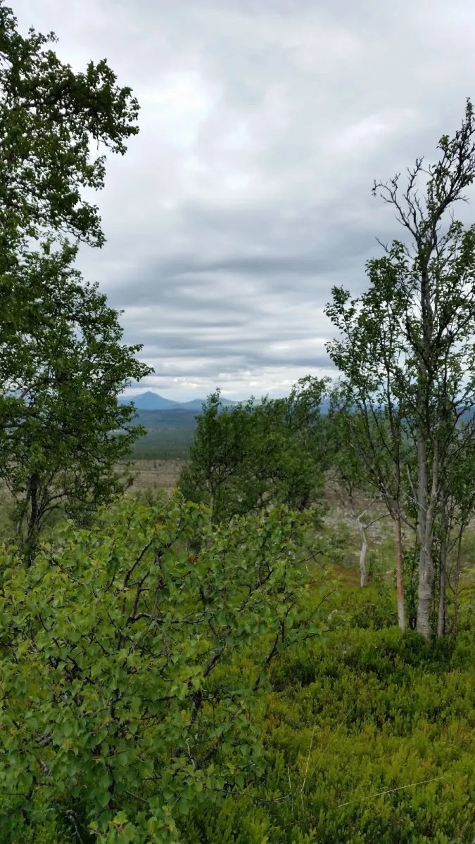 smdalen-camping-smdalen-vm9or