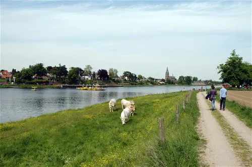 camping-beringerzand-panningen-3udbb