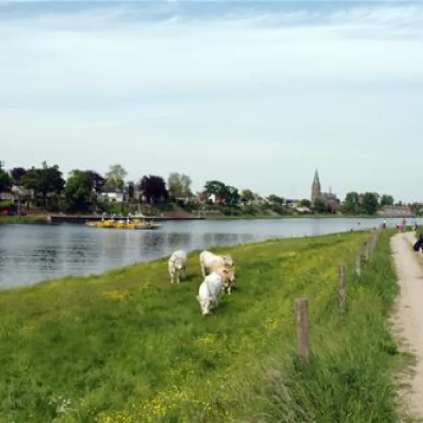 camping-beringerzand-panningen-3udbb