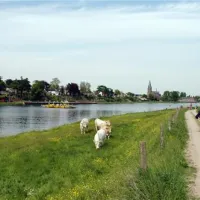 camping-beringerzand-panningen-3udbb