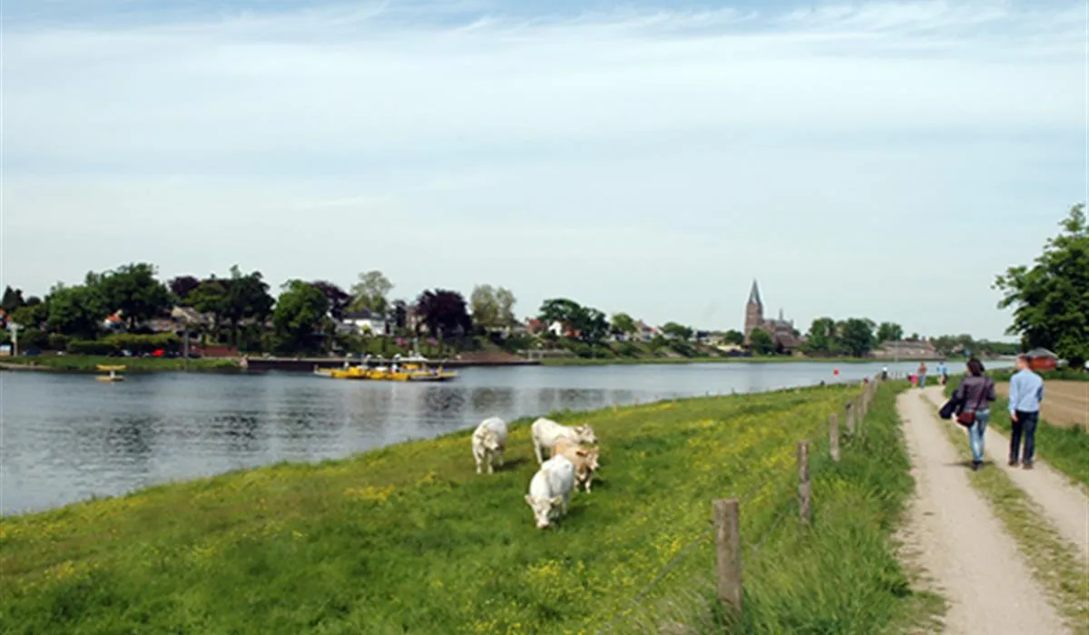 camping-beringerzand-panningen-69xnl