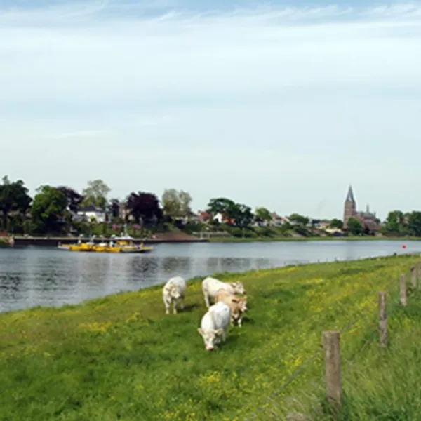 camping-beringerzand-panningen-69xnl