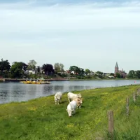 camping-beringerzand-panningen-69xnl