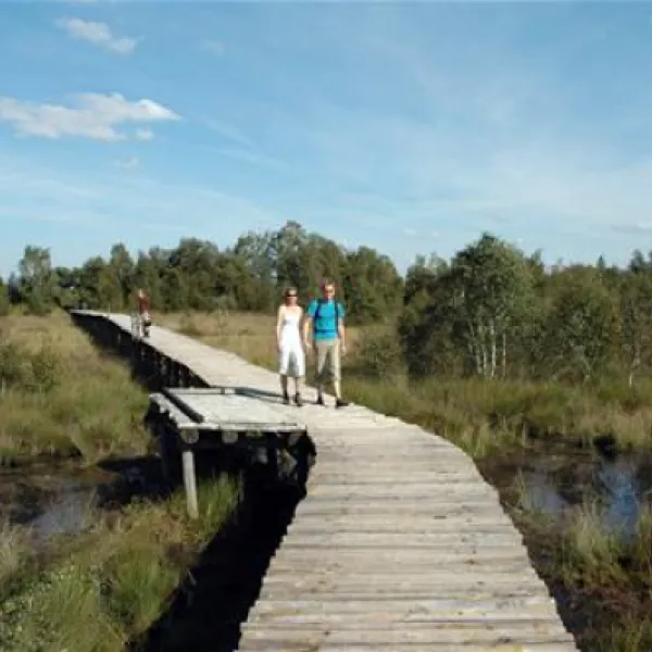 camping-beringerzand-panningen-gxsbb