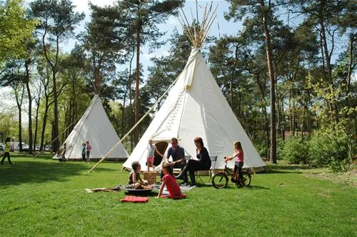 camping-beringerzand-panningen-k7uof