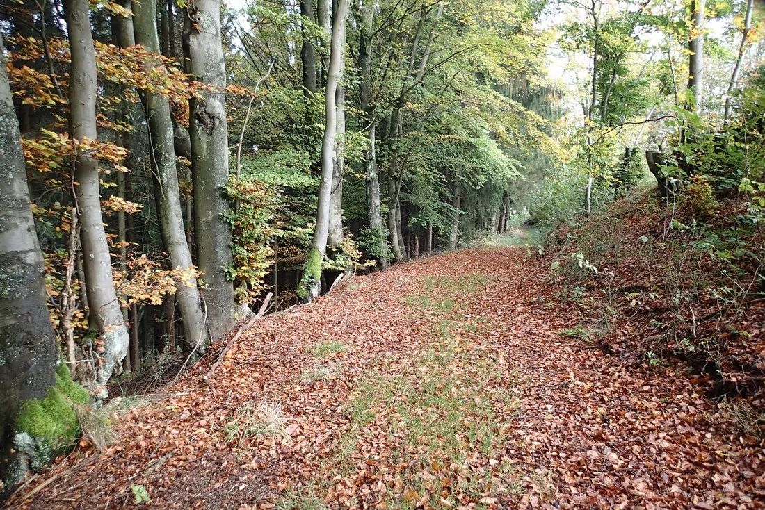 camping-zum-jone-bur-monschauimgenbroich-g4pet