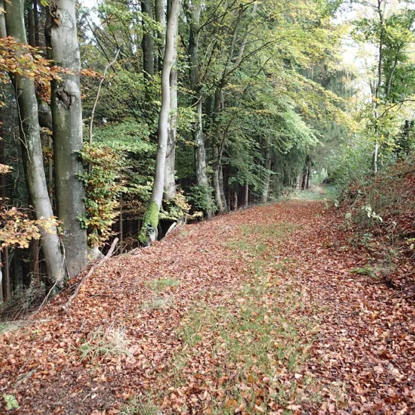 camping-zum-jone-bur-monschauimgenbroich-g4pet