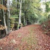 camping-zum-jone-bur-monschauimgenbroich-g4pet