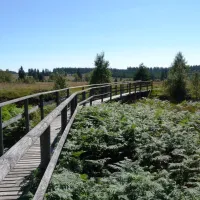 camping-zum-jone-bur-monschauimgenbroich-zdpqm