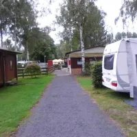 waldcamping-bad-zwesten-bad-zwesten-6j3ps