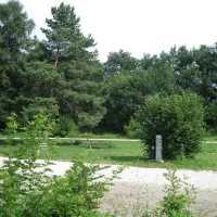 camping-mariengrund-bernau-ae8sj