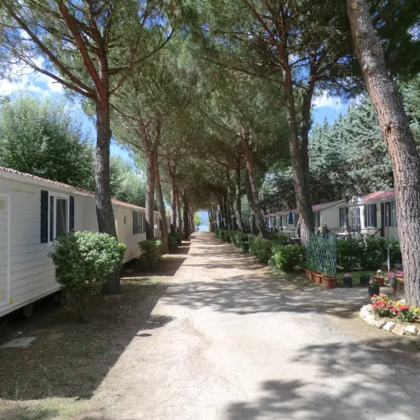 Campeggio Polvese