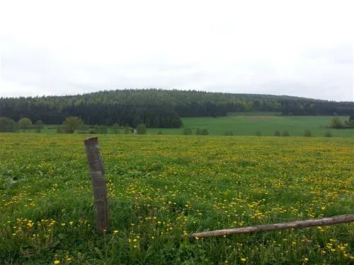 ferienhof--camping-zur-hasenkammer-medebach-3tyl0