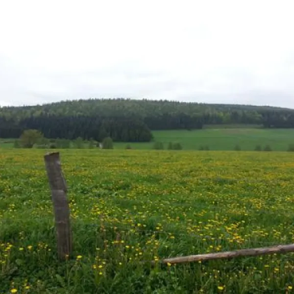 ferienhof--camping-zur-hasenkammer-medebach-3tyl0