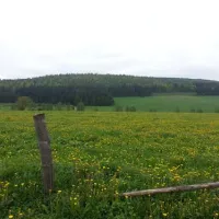 ferienhof--camping-zur-hasenkammer-medebach-3tyl0