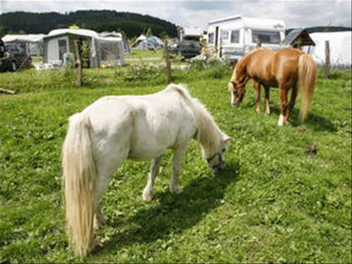 ferienhof--camping-zur-hasenkammer-medebach-5ukkb