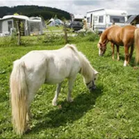 ferienhof--camping-zur-hasenkammer-medebach-5ukkb