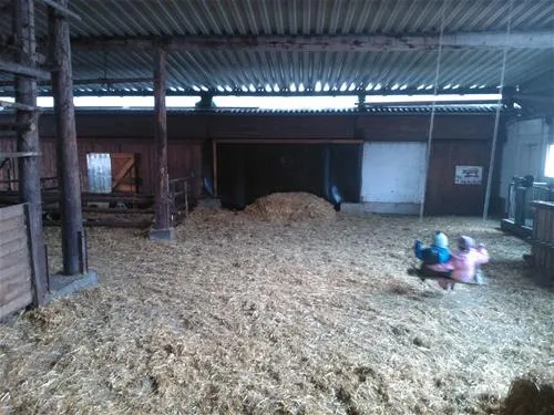 ferienhof--camping-zur-hasenkammer-medebach-hxmtc