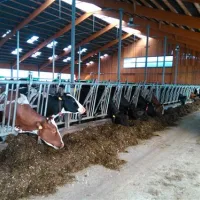 ferienhof--camping-zur-hasenkammer-medebach-unl6a
