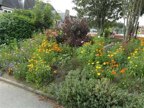 camping-municipal-de-la-hallerais-taden-7bjka