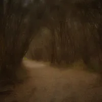 binn-beach-campground-bemm-river-8o9yt