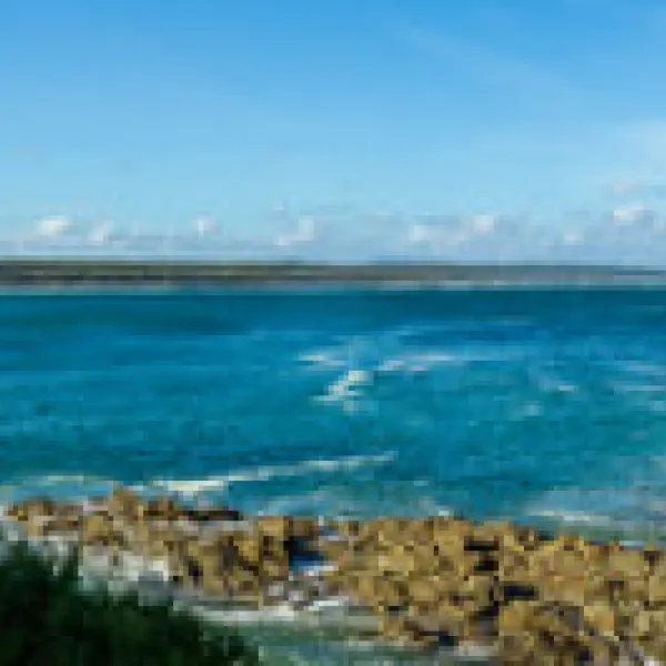 binn-beach-campground-bemm-river-a80nz