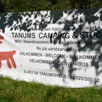 tanums-camping-stugby-tanumshede-4oedl